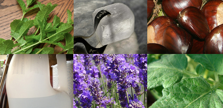 6 Ways to Get Rid Of Spiders - Groomed Home